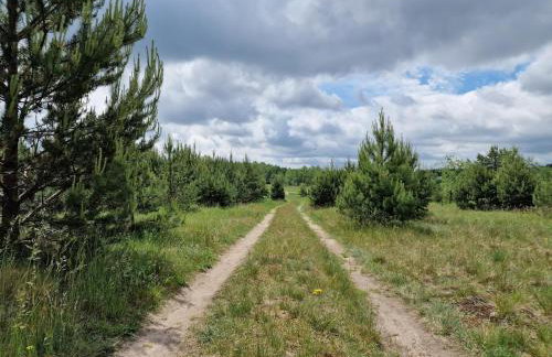 Dom wakacyjny w Lubianie - Foto 39