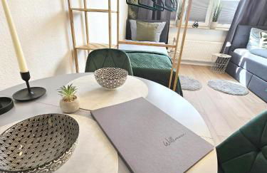 Fewo Friends, 2 Apartments, Businesswohnung, Monteurzimmer mit Gemeinschaftsküche - Foto 11