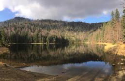 Quellenhof Kollnburg - Foto 14