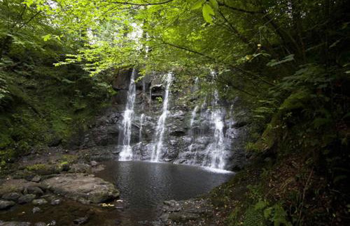 The Coach House Self Catering Apartments - Foto 62