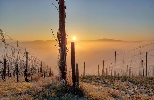 Ferienwohnung Panoramablick - Foto 26