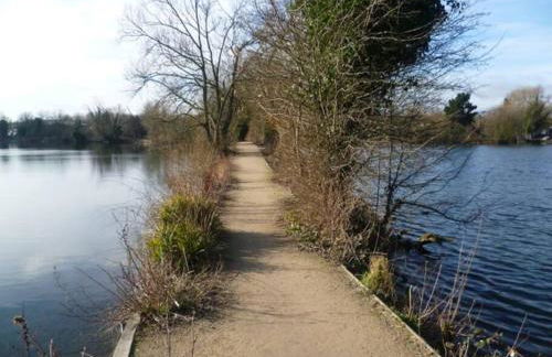 Deluxe Cabin wrapped by nature - Photo 6