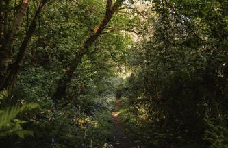 Luxury studio with HOT TUB and Stunning Gardens - Foto 10