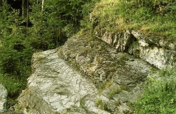 Gospodarstwo Agroturystyczne Watra - Foto 50