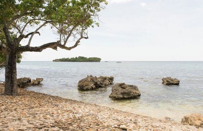 Point Village Studios and Suites - Photo 50