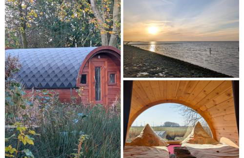 Die Sonnenblume - Foto 9