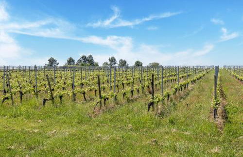 Elegant Chateau Escape - Foto 68