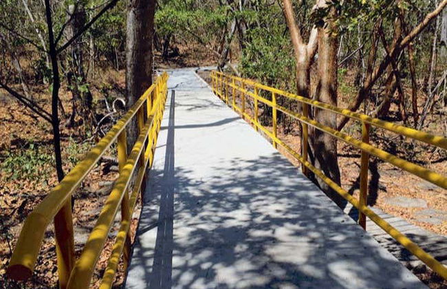 Liberia & Santa Rosa National Park Day Trip - Foto 1