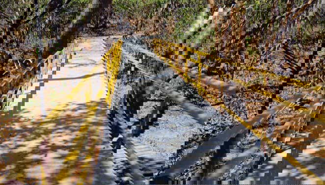 Exploring the Santa Rosa National Park