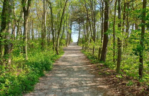 Dobry Wiatr Villa Baltic Chałupy - Foto 31