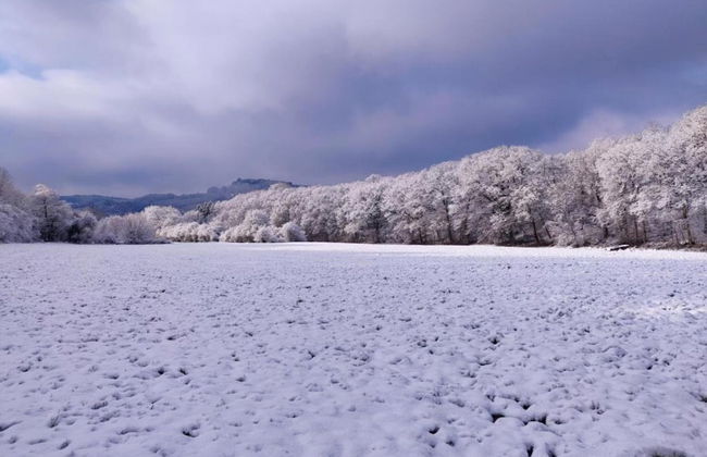 Villa Apartment With Terrace - Foto 22