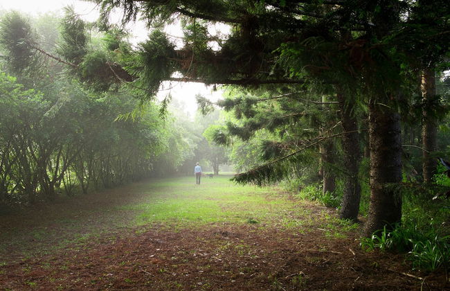 Sharlynn by the River - Foto 29