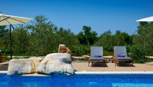 Relax house surrounded by olives and vineyard - Foto 5