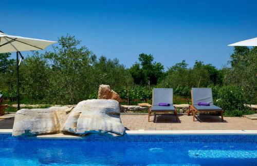 Relax house surrounded by olives and vineyard - Photo 5