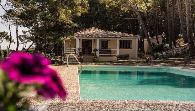 Azzuro Beach House - On the Beach & Private Pool, by ZanteWize - Foto 2, Profilbild