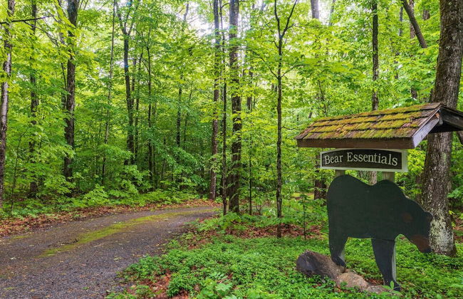 Bear Essentials Lakefront Hideaway - Foto 3