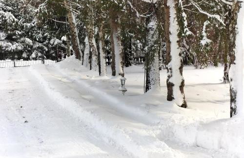 Domek całoroczny Pod Bieszczadzkim Aniołem - Foto 39