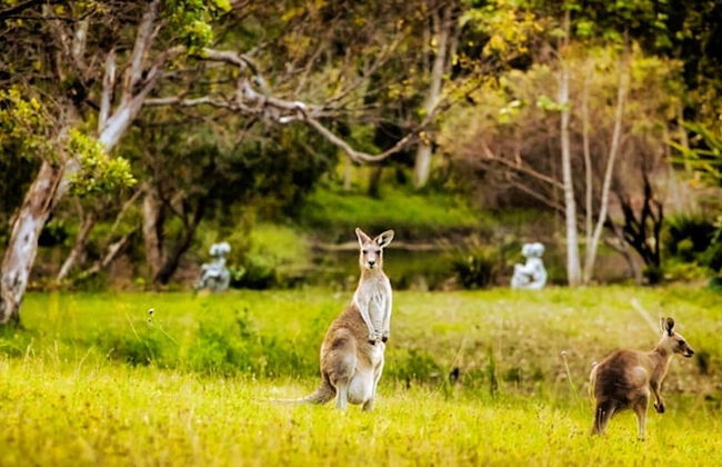 Tranquilo Beach House - Foto 75