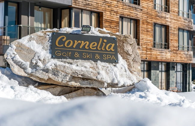 Cornelia Deluxe Residence - Photo 80