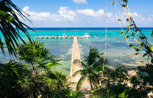 Lawson Rock - Angelfish 100 - Foto 17