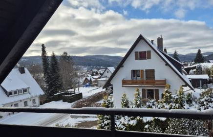 SchwarzwaldNest am See - Foto 26