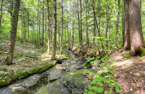 6 Mi to Mt Snow Nature-View Home with Fire Pit! - Foto 34