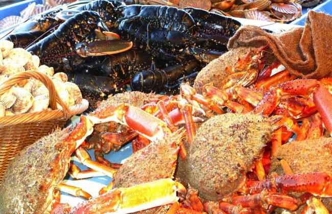 Holiday Home in Plozevet Near Beaches - Foto 14