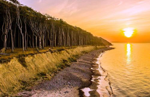 Dünenrose 4 Wolkenlos - Foto 63