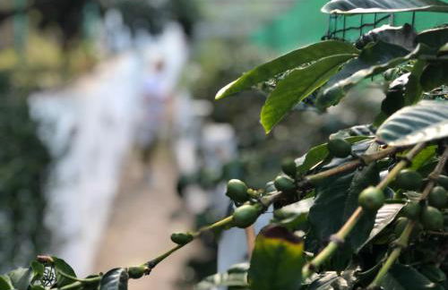 Casa Camino Tamadaba - Foto 42