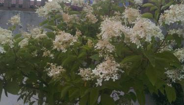 Mitterhofer Appartements - Photo 3