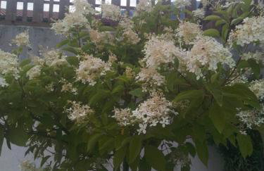 Mitterhofer Appartements - Foto 3