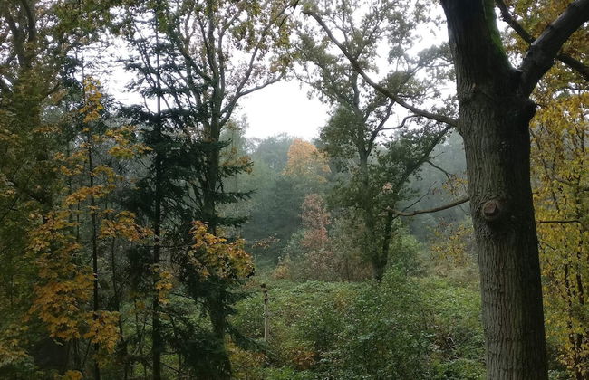 8 Person Holiday Home in Hadsund-by Traum - Photo 4