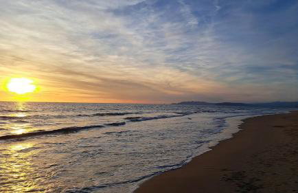 Summer apartment - Photo 20