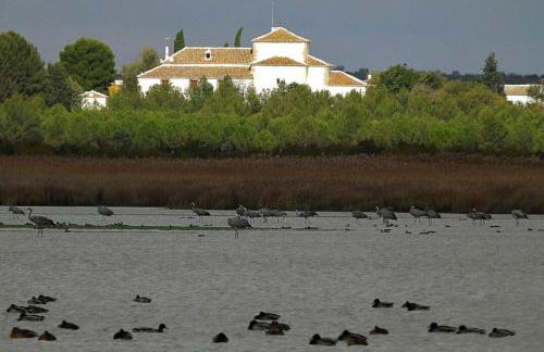 La Casa de los Abuelos - Foto 32