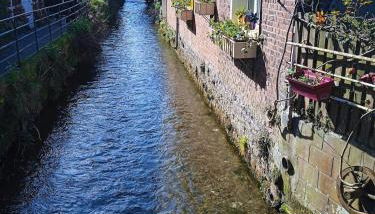 La Scie - Domaine du Presbytère - Foto 2