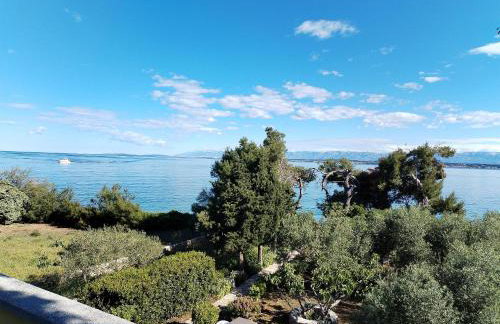 Apartment Brane - Photo 38