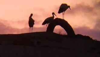 Casa Rural Albahaca - Foto 4