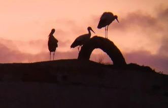 Casa Rural Albahaca - Foto 4