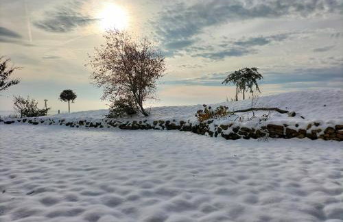 Bischou, soyez chez vous ! - Foto 19