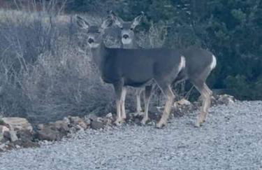 Lynx Lake Lux 6-BR HouseSleeps 22Hot TubGame Rm - Foto 139