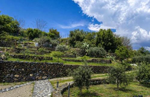 Viscalori Homes - Foto 7