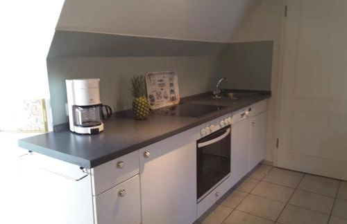 Seepferdchen - Foto 10