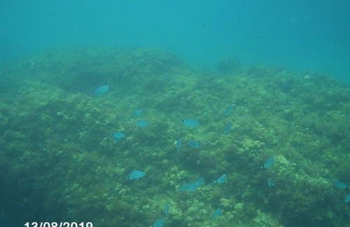 HH Apartamento La Herradura Playa - Photo 65