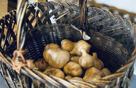 La maison des hérissons - Foto 7