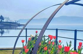 Lake Como PORTO VECCHIO - Photo 56