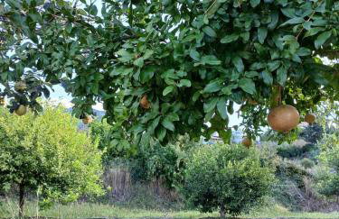 La Maison Bleue Sand Dunes - Foto 33