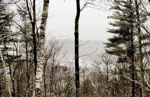 Mountain cabin with views, privacy, and more. - Foto 68