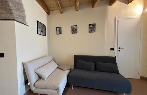 Vitis Verde - Foto 3