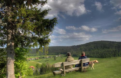 Ferienwohnung Steinebrunner - Foto 27