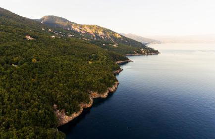 The House 1838 - Foto 2